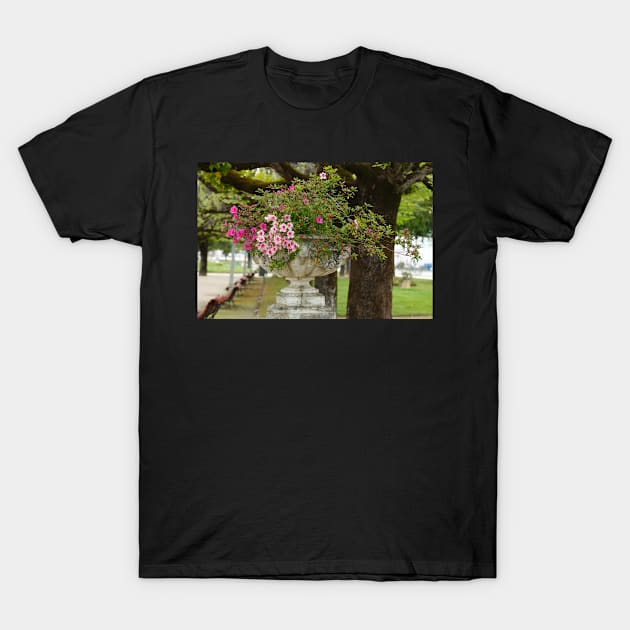 Parque Dr. Manuel Braga, Coimbra, Portugal T-Shirt by Kruegerfoto